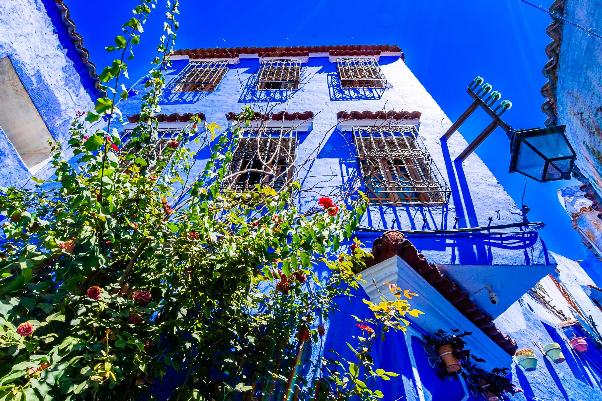 Façade bleue fleurie vue en contre-plongée