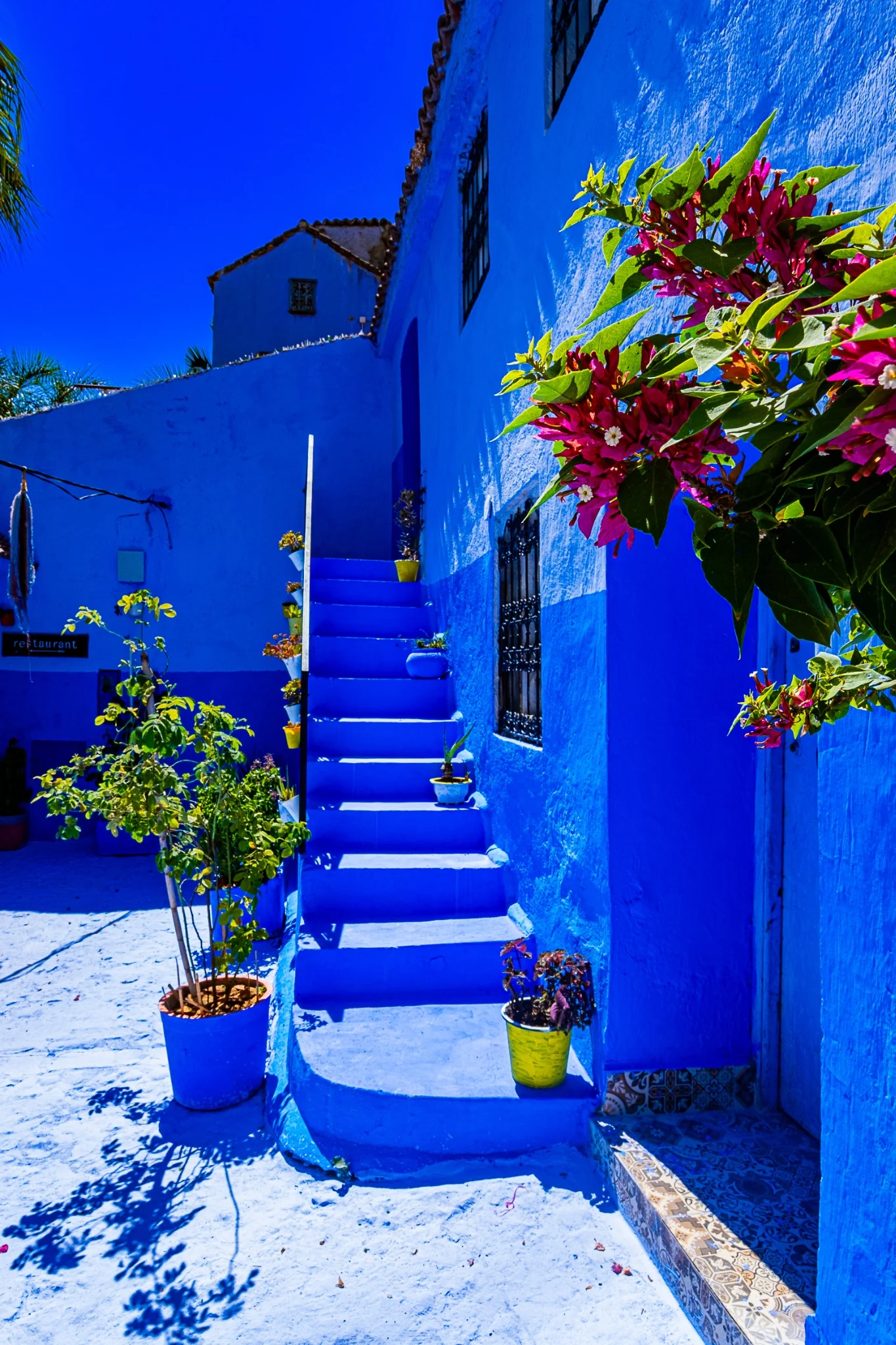 Escalier bleu avec fleurs roses