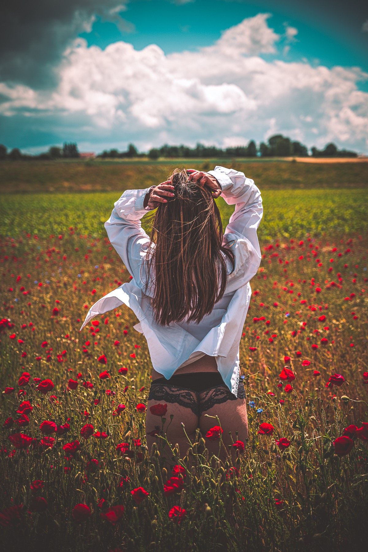 Série coquelicots — mouvement