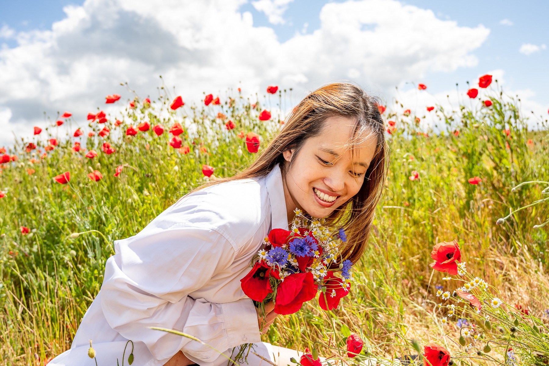 Série coquelicots