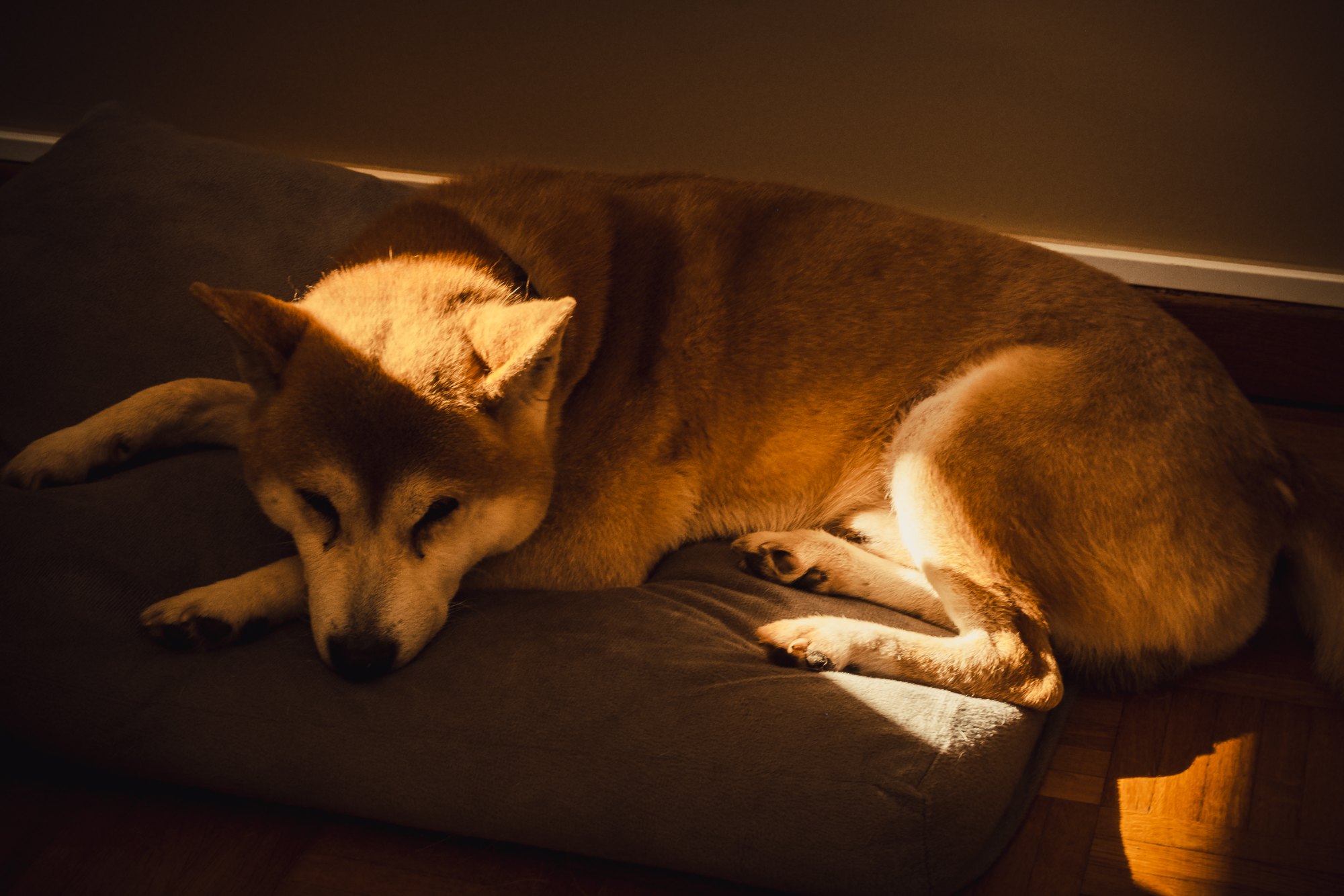 Yuki